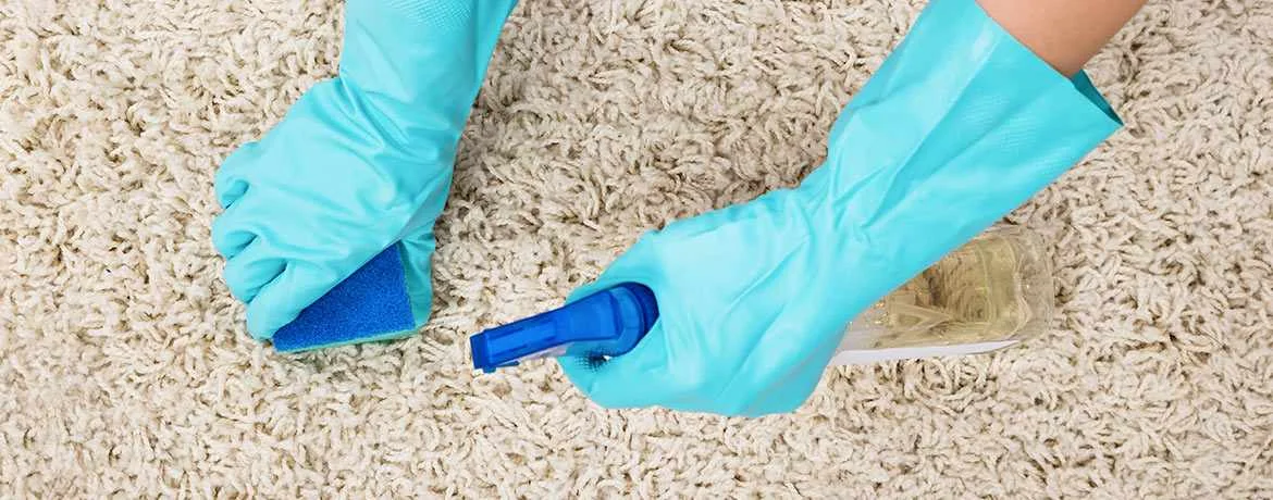 Commercial Cleaning Midland Commercial Cleaning Midland