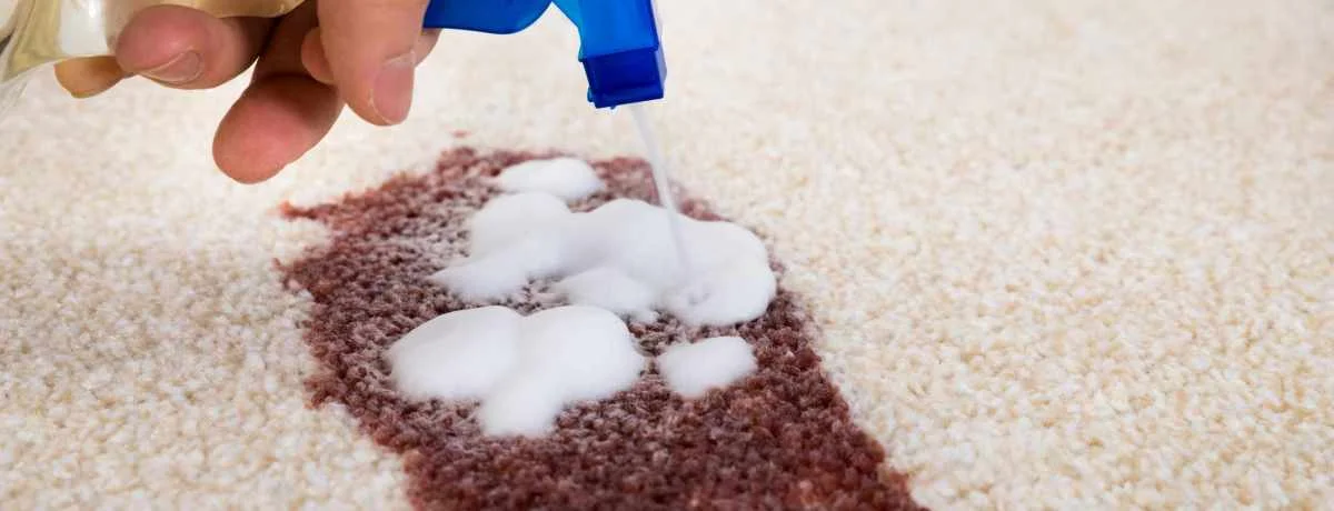 stained-carpet-cleaning-commercial-cleaning-scaled-1200×460